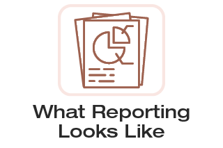 What Reporting Looks Like