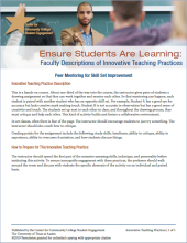 Ensure Students Are Learning: Faculty Descriptions of Innovative Teaching Practices: Peer Mentoring for Skill Set Improvement