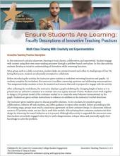 Ensure Students Are Learning: Faculty Descriptions of Innovative Teaching Practices: Math Class Flowing With Creativity and Experimentation