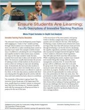 Ensure Students Are Learning: Faculty Descriptions of Innovative Teaching Practices: Menu Project Includes In-Depth Cost Analysis