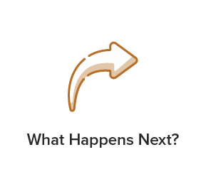 What Happens Next?