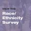 View the Race Ethnicity Survey