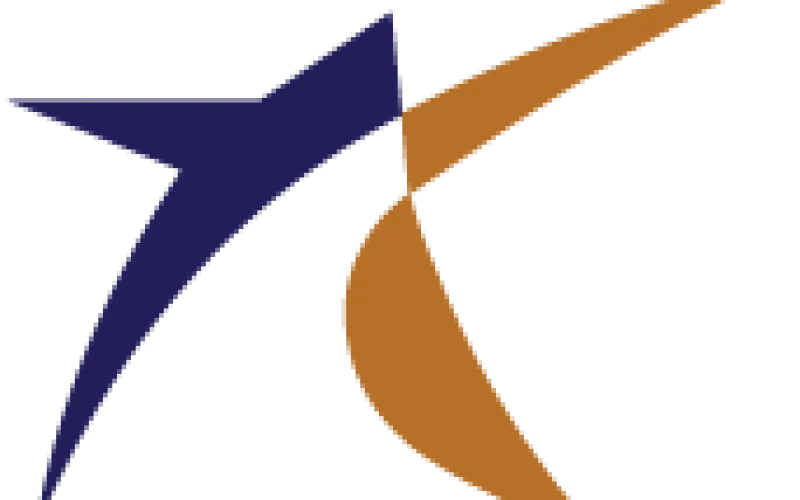 DESSE logo
